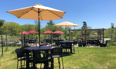 Appolo Vineyards
