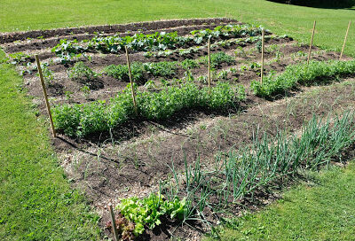 Sunny Valley Urban Farm