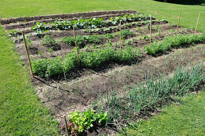 Sunny Valley Urban Farm