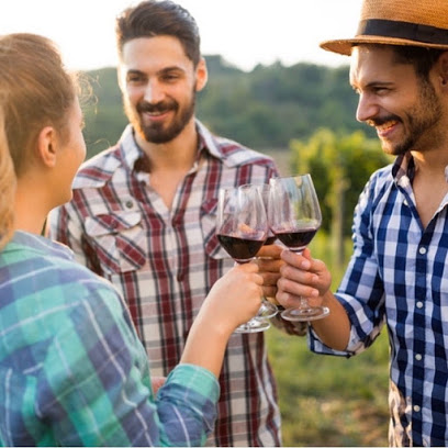 Calistoga Wineries Tours by Glidesdale Adventures