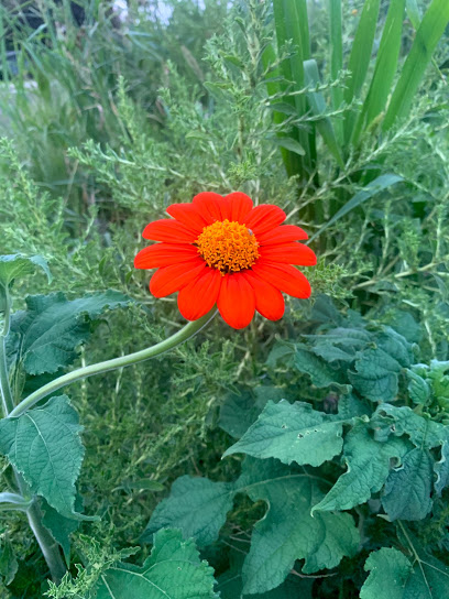 Langan Farms, LLC
