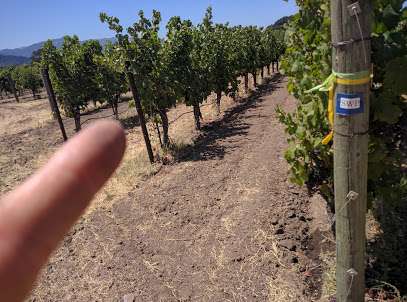 Ilsley Vineyards