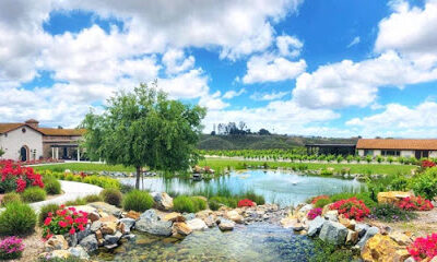 Avensole Winery