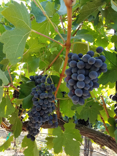 Eaton Hill Winery