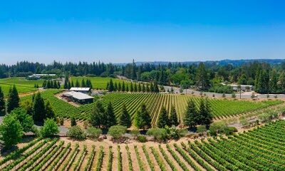 Furthermore Wines