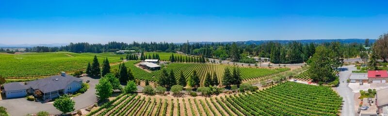 Furthermore Wines