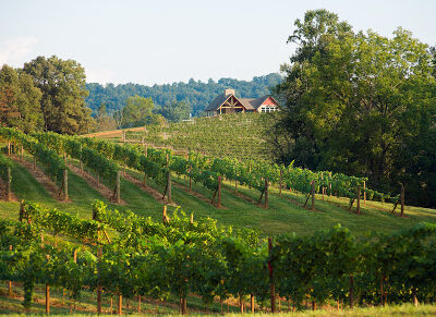 Addison Farms Vineyard