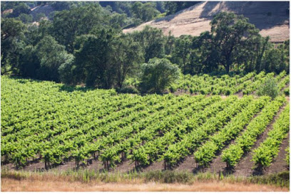 McFadden Farm