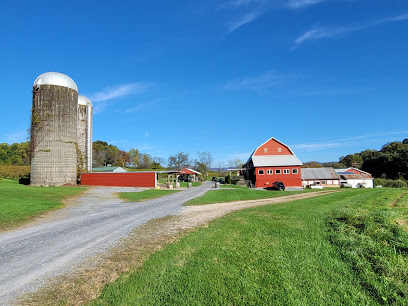Rockbridge Vineyard & Brewery