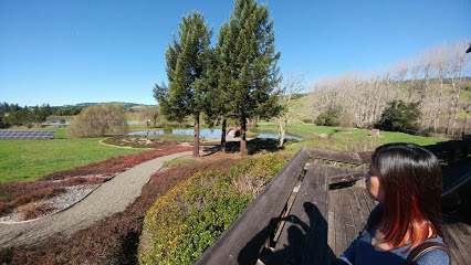Greenwood Ridge Vineyards