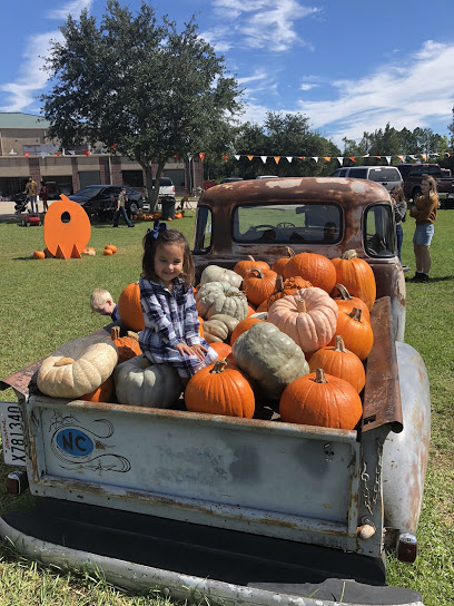Houma Pumpkin Patch