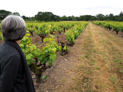 Carlisle Winery & Vineyards