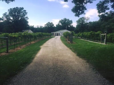Persimmon Ridge Winery