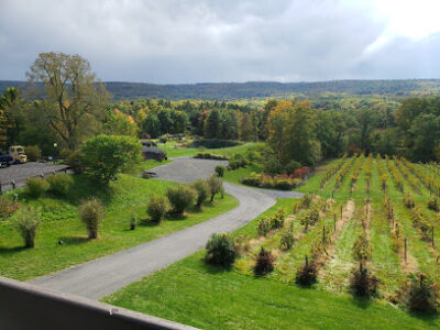 Six Mile Creek Vineyard