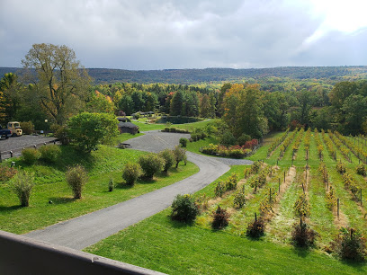 Six Mile Creek Vineyard