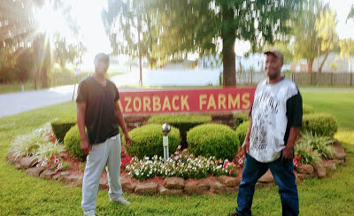 Razorback Farms Inc