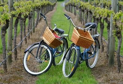 East End Bike Tours
