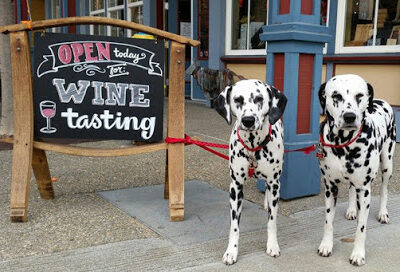 Mutt Lynch Winery