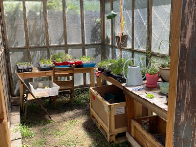 Lincoln Street Farm