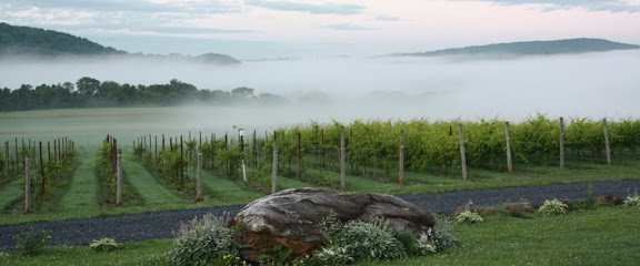 Villa Milagro Vineyards