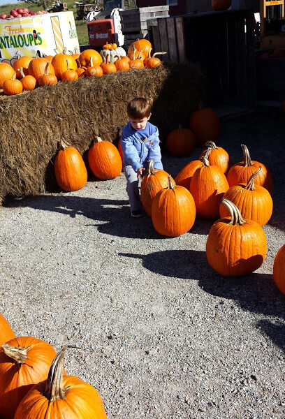 Miller's Orchards Farm Market