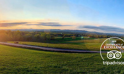 Piccione Vineyards