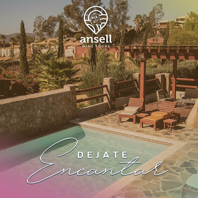 Ansell Wine Tours