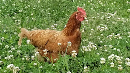 EZ Acres Organics
