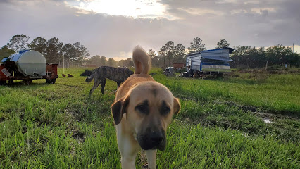 Donna's Farm