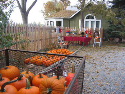 Hoot 'n' Howl Farm LLC