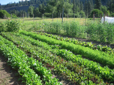 New School Farm