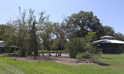 Crazy Woman Farm