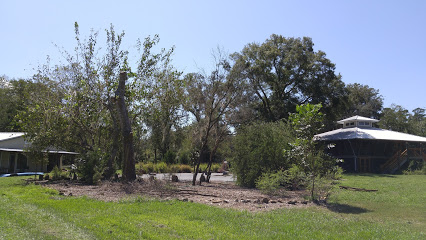 Crazy Woman Farm