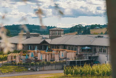 Adelsheim Vineyard