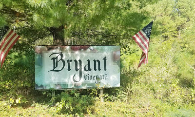 Bryant Vineyard