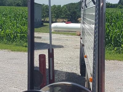 Gilbert Farms