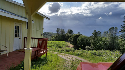 Charles B. Mitchell Vineyards