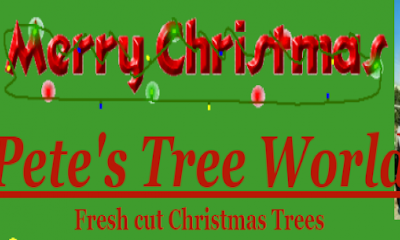 Pete's Tree World - Christmas Tree Lot - Christmas Trees Near Me