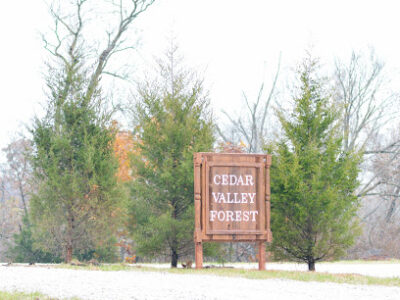 Cedar Valley Forest