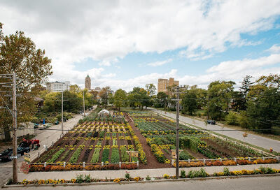 The Michigan Urban Farming Initiative