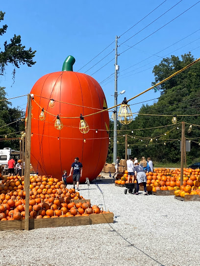 Weaver Tree Farms