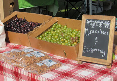 Midland Community Farmers Market