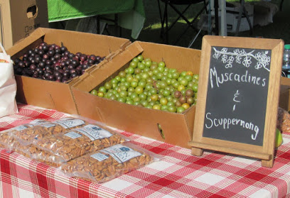 Midland Community Farmers Market