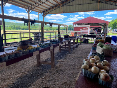 Thomas Farm Fresh Produce