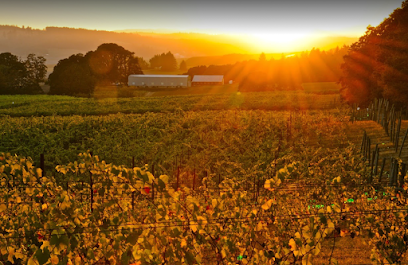 Emerson Vineyards