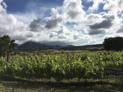 Highland Hills Winery