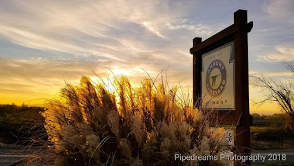 Ankeny Vineyard