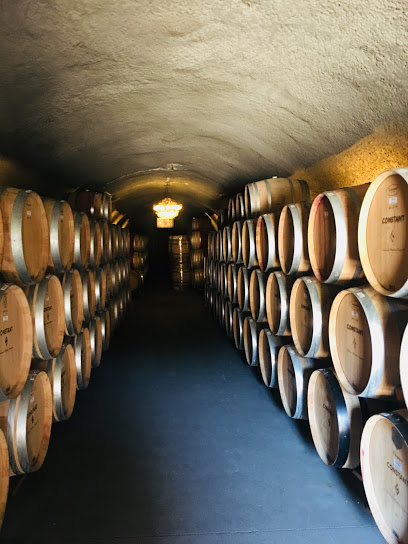Constant-Diamond Mountain Vineyard