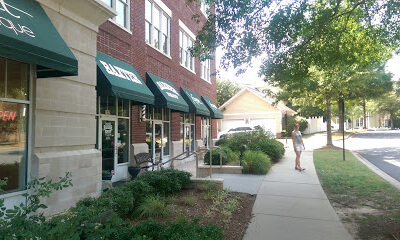 Grapevine