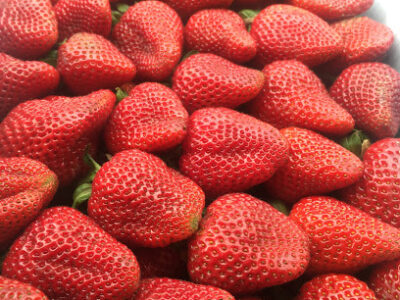 Thacker Berry Farms - Tustin Stand